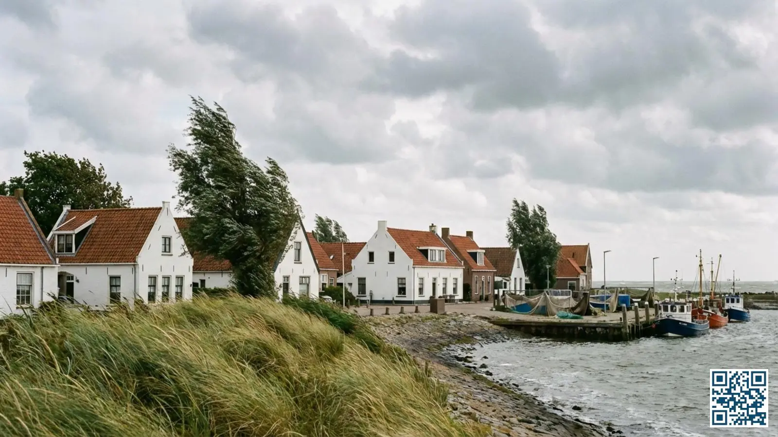 Traditioneel Zeeuws kustdorp met witte huizen langs het water en door wind gebogen bomen
